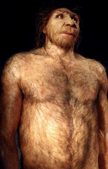 Homo Heidelbergensis